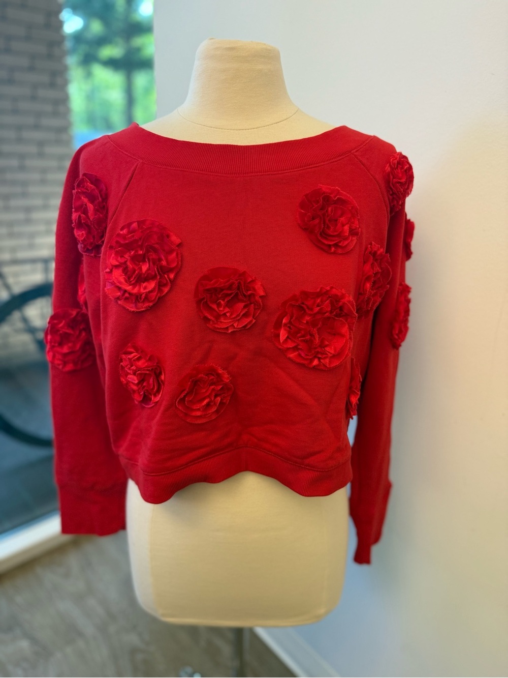 Maeve Red Cropped Sweater Floral Applique Long Sleeve Boat Neck Women Size L